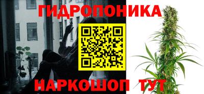 трава Краснокаменск
