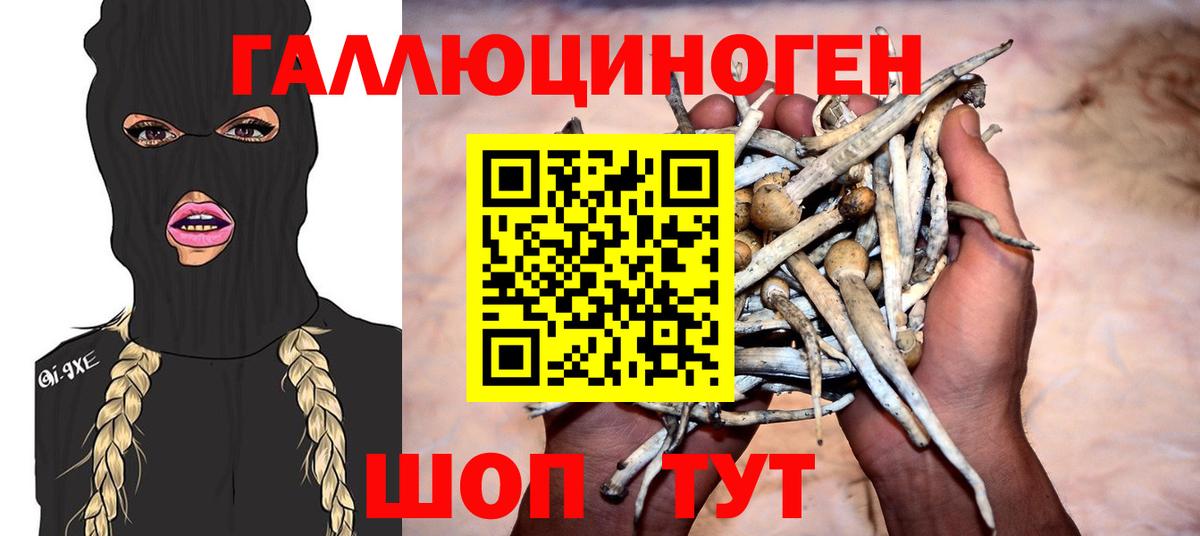 Псилоцибиновые грибы ЛСД Корсаков