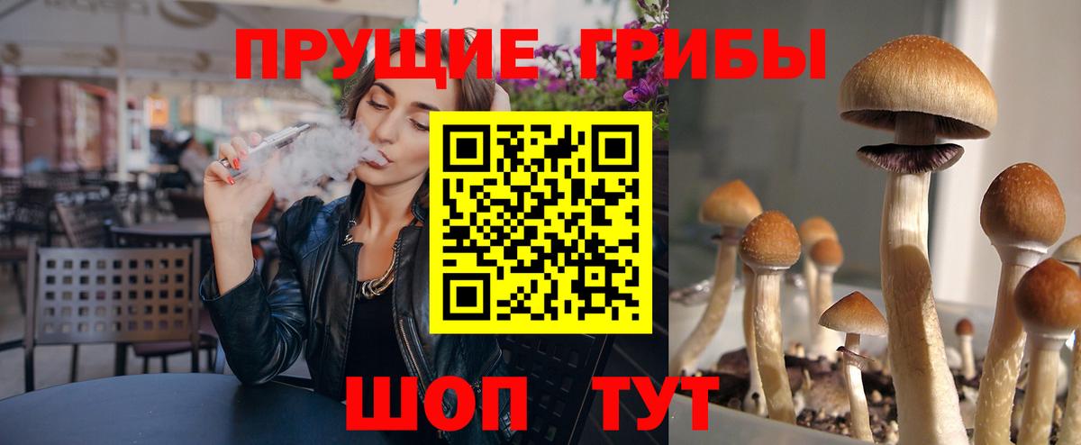 Корсаков  Галлюциногенные грибы GOLDEN TEACHER  где купить   Вход с VPN 