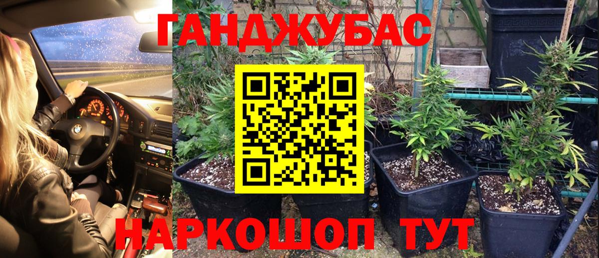 Каннабис Bruce Banner  Каннабис марихуана  Шишки марихуана SATIVA & INDICA  Корсаков  Вход с VPN  Каннабис конопля 