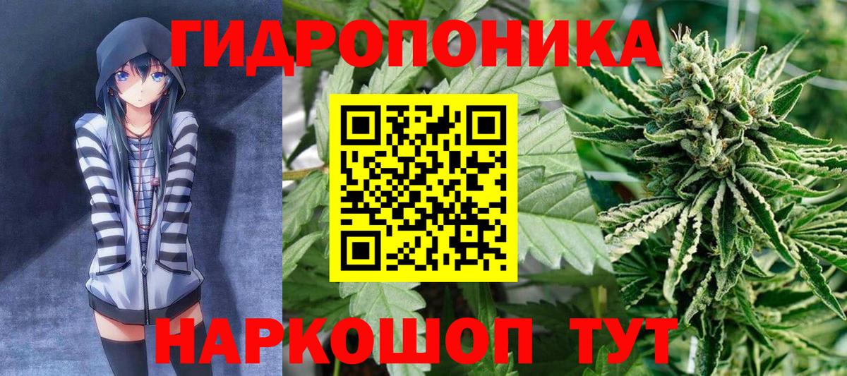 Шишки марихуана семена Корсаков